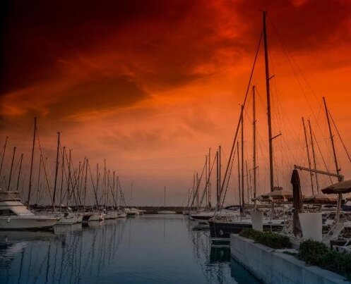 1f455039-40b5-4ee9-a41d-d3e3790a5abb 1f455039-40b5-4ee9-a41d-d3e3790a5abb