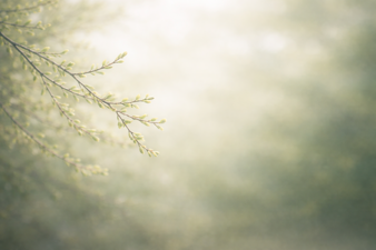 chatgpt image 18 feb 2026, 19_08_47 chatgpt image 18 feb 2026, 19_08_47