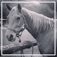 715d977d-36d9-412a-a61a-8c393ef35155