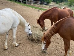 79f3e7fc-ea17-449a-b3fa-167d219a3e07