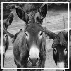 b51a6cd6-90e3-42b3-8b99-a09de17dcdf2