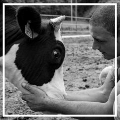 5289b5b8-e45f-4110-ac66-ff0733a8d434