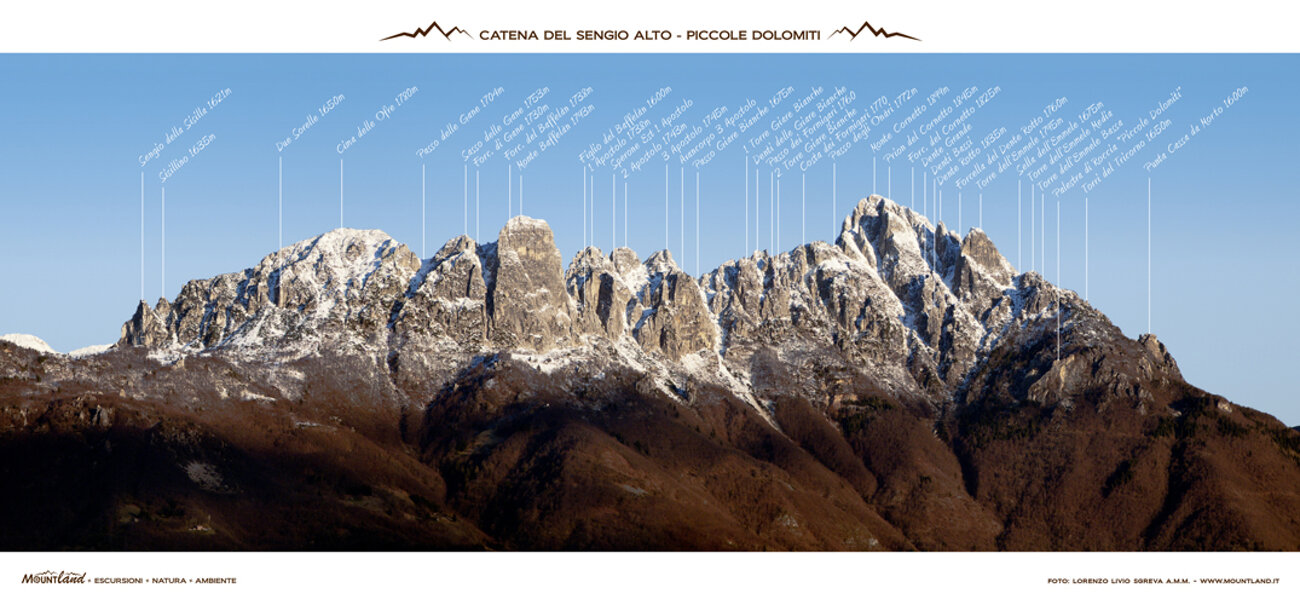 765bd8a2-c1e7-4c08-9ffa-65d77b7cda41