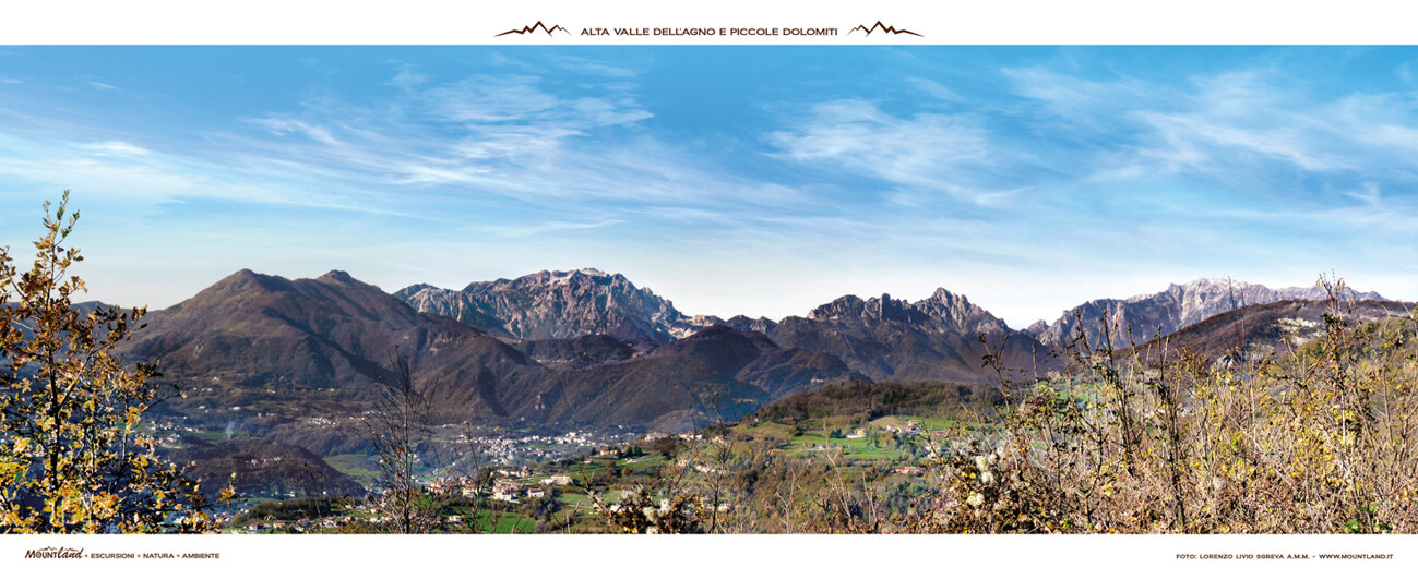 d31b8cf9-e2d9-4d59-a584-e0b0b404957c