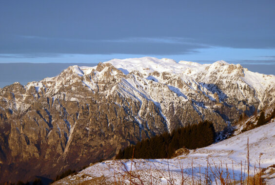 ba08b4f0-93a1-44b2-9629-a45fa6158777