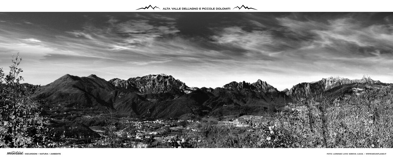 5f1f2328-2821-497b-a300-c18c54e539dc