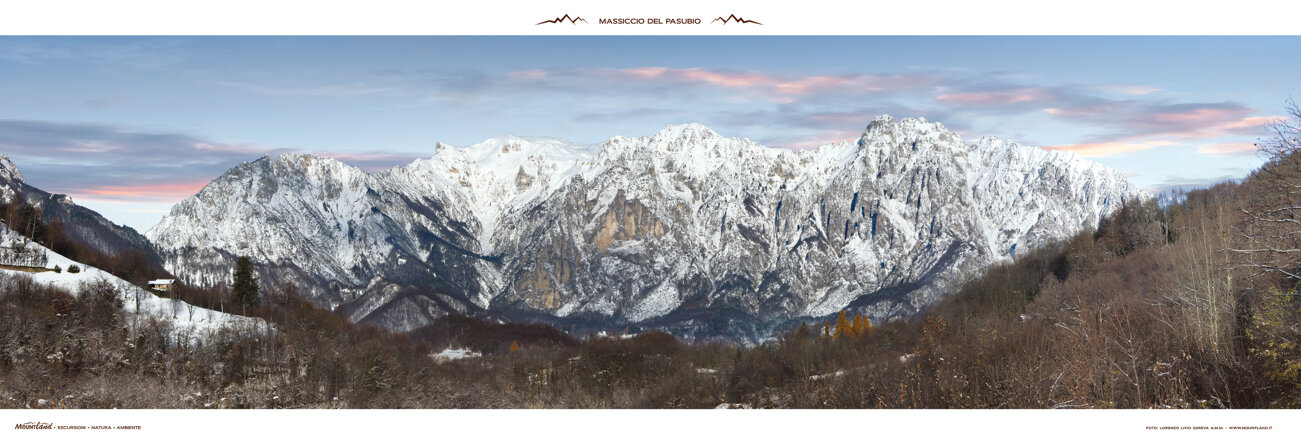 563e8610-05c3-4f2b-b205-e2dd358ea4d8