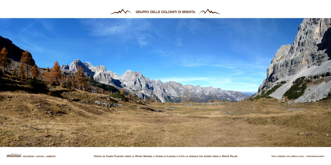 4380757a-6a76-4b17-9a76-ee2d5c9a0628