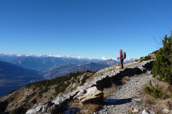 f82904d1-6475-4cb4-b7d1-ce47ccd793a8