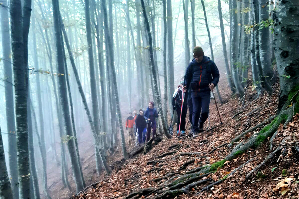 c39b7ec5-d36f-456b-a65e-dec71ffedf29