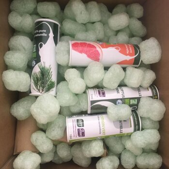 c05ff9e7-d4fd-4bf2-b529-cbb27266127c c05ff9e7-d4fd-4bf2-b529-cbb27266127c