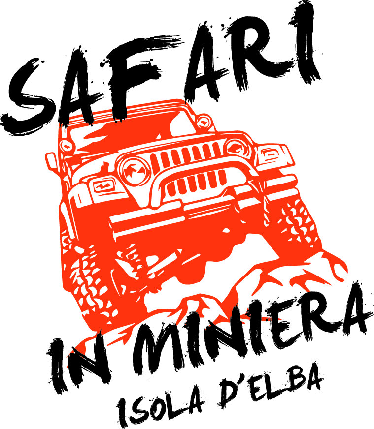 91aafdd5-0947-498b-be82-1d573bbff58c