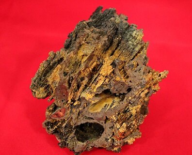 490f45f9-a92f-4dfd-ade0-5a85aaea2552