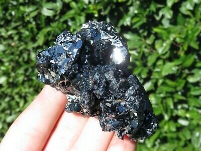 5fd299b6-117f-4850-be9c-e81d4455e8ea