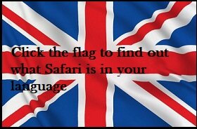 816de992-9552-4d26-b0c1-2a28553c6a90