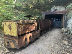 img_4003.jpeg