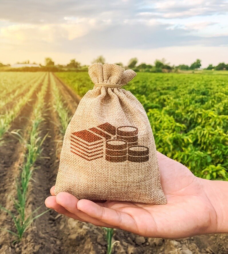 Agricoltura, pesca, acquacoltura: invii per il tax credit dal 17 ottobre Agricoltura, pesca, acquacoltura: invii per il tax credit dal 17 ottobre