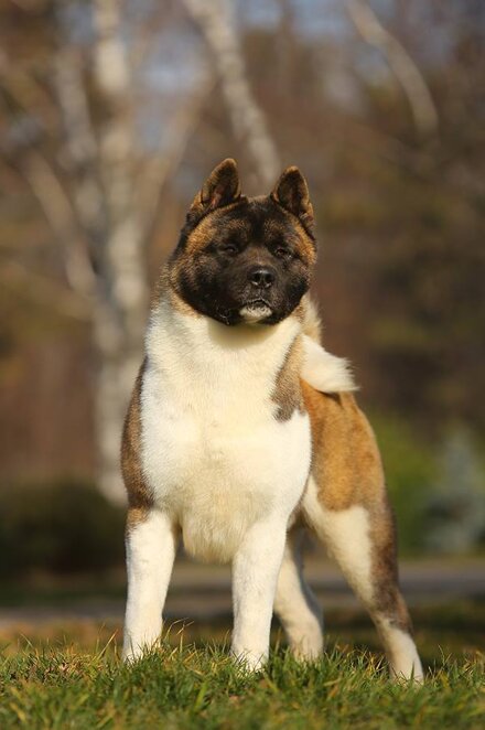 9115710c-dcd0-4905-89a7-975ac94614af