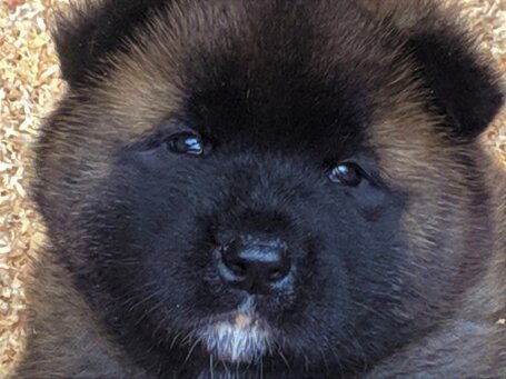 b5698a0a-abc4-4c07-93c8-3d9eb61b0309