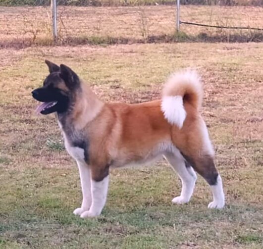 4392543a-8f7a-47bc-b9a0-cc8c36ffe630