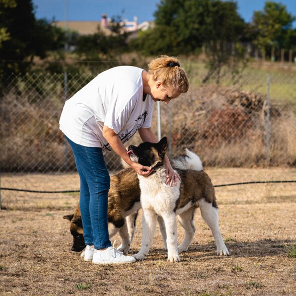 9b6c45e4-1d9b-4995-b538-0799216985ec