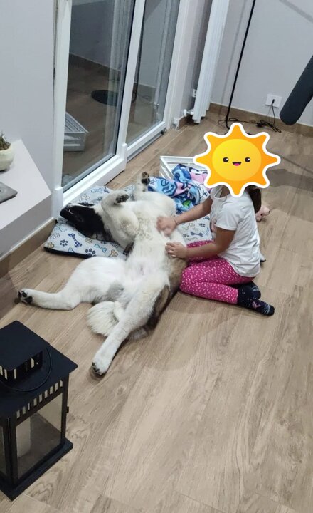 46933e66-b962-4e63-82ca-337c7b735760