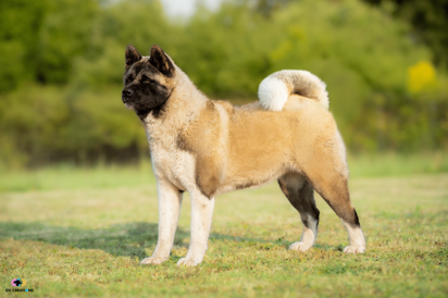 36752c68-d854-494f-8c5d-e99beb4dbb4e