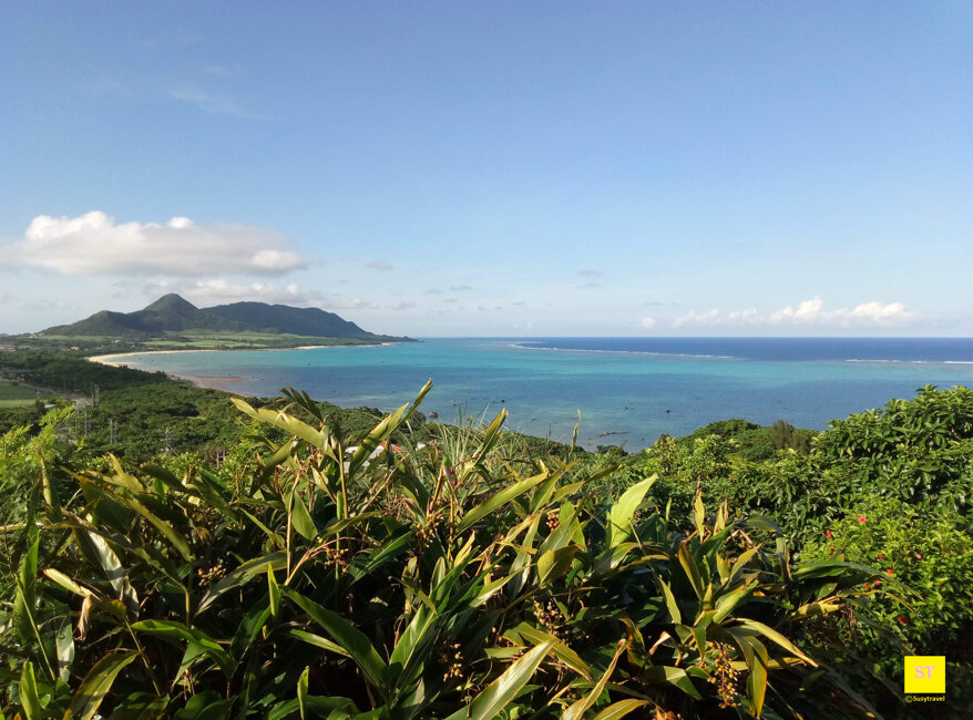 51bfd8d3-57c7-4d6b-b184-c80e543ea140