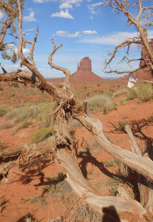 eyJpdCI6IiJ9 eyJpdCI6IiJ9