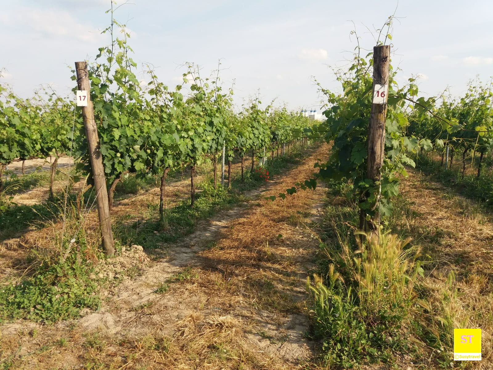 012bc06b-23de-475d-9824-d3f3b8174a90.jpg 012bc06b-23de-475d-9824-d3f3b8174a90.jpg