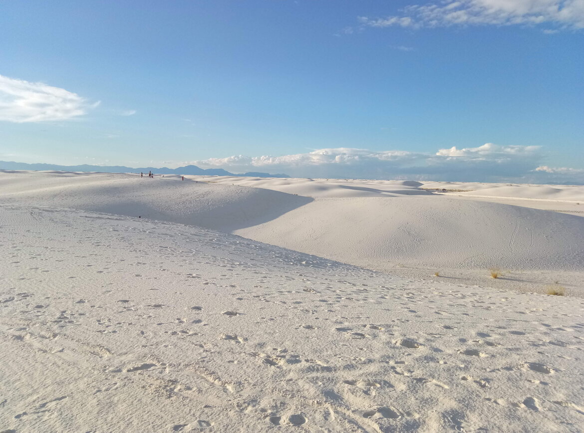 86afaa9c-1970-4875-aedd-7b4e90c9e218