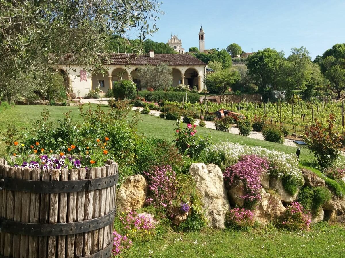 TIPS PER IL WEEK END N&deg; 2 - YOGA IN CANTINA