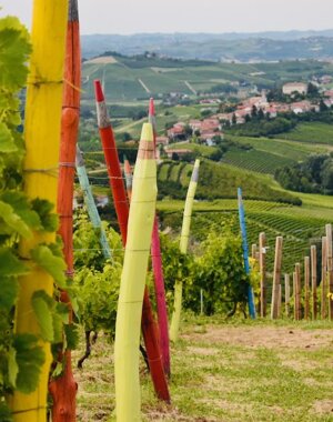 eyJpdCI6IiJ9 eyJpdCI6IiJ9