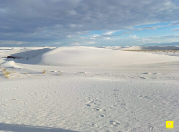 66f37bfe-8a79-4b88-ab72-b5a4ee4aff53