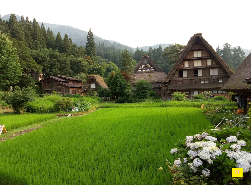 98fce682-7137-4b68-a8ea-ca090e8e8d85 98fce682-7137-4b68-a8ea-ca090e8e8d85