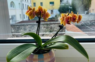 whatsapp image 2026-03-07 at 16.25.08.jpeg