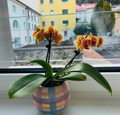 whatsapp%20image%202026-03-07%20at%2016.25.08.jpeg whatsapp%20image%202026-03-07%20at%2016.25.08.jpeg