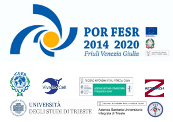 954b13a3-1ac9-4da8-8d0d-3d69860a39b8 954b13a3-1ac9-4da8-8d0d-3d69860a39b8