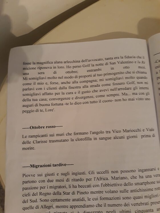 a7e13224-a09e-49e2-bedb-80e50eda804b