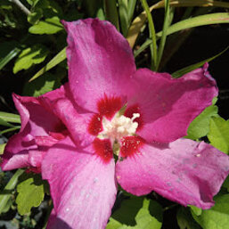 1e852382-c2b4-4ec9-8d16-18bdcd72c62a