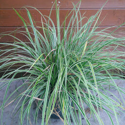 b78b9704-494d-45d7-bc43-f93223457179