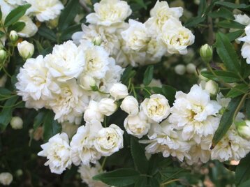 967b3d3b-ec54-4b9e-8158-da90417f9059