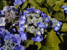 ef9ad902-17cb-4420-b128-0f746fe18ddc