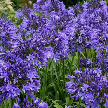 6e5fd046-1b02-45c1-8d2a-660df46d3c57 6e5fd046-1b02-45c1-8d2a-660df46d3c57