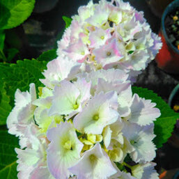 9d8c116a-20d0-4962-b000-15a730f9b3e2