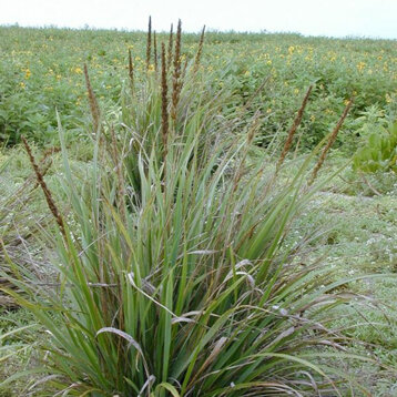 5e9da048-4365-4c24-b416-19737faeee00