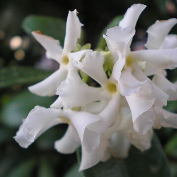 9596e190-4c84-40df-aae2-9db710c53435 9596e190-4c84-40df-aae2-9db710c53435