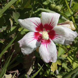 ba5c44af-03c7-4755-a280-693f485f6d08