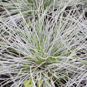 77cf74aa-92aa-46ac-a190-becdb615ea27