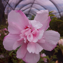 ba6b49be-5907-4773-83b1-56916cf97757